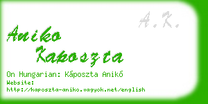 aniko kaposzta business card
